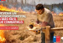 CONAF recomienda incrementar medidas de prevención ante mayor probabilidad de ocurrencia de incendios forestales