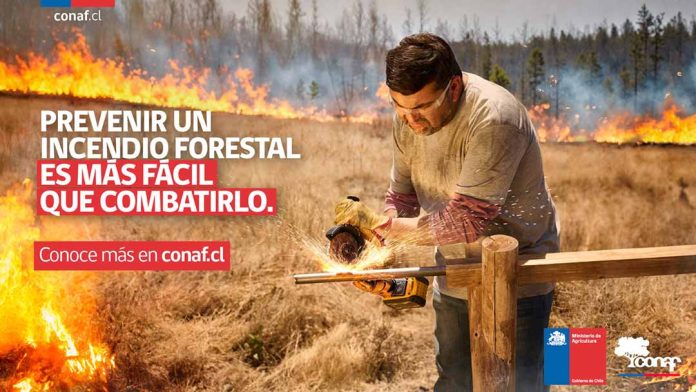 CONAF recomienda incrementar medidas de prevención ante mayor probabilidad de ocurrencia de incendios forestales