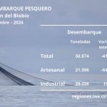 Desembarque pesquero de la Región del Biobío totalizó 50.874 toneladas en noviembre de 2024