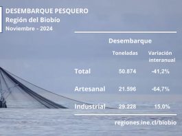 Desembarque pesquero de la Región del Biobío totalizó 50.874 toneladas en noviembre de 2024