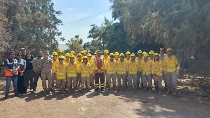 Ejército y CONAF unidos contra los incendios forestales