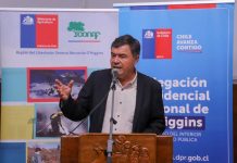 El 36% de la superficie total de la región de O`Higgins corresponde al sub uso de bosque nativo y plantaciones forestales