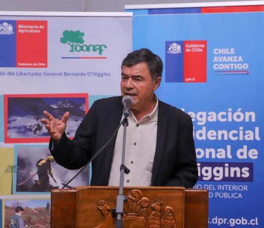 El 36% de la superficie total de la región de O`Higgins corresponde al sub uso de bosque nativo y plantaciones forestales