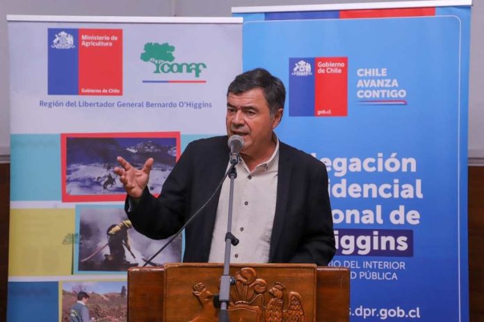 El 36% de la superficie total de la región de O`Higgins corresponde al sub uso de bosque nativo y plantaciones forestales