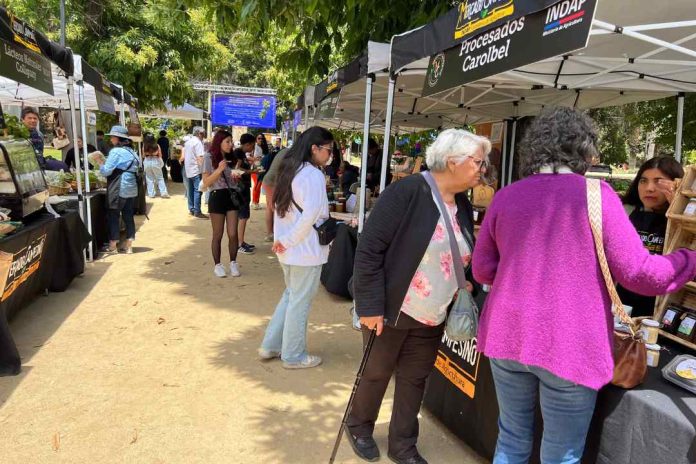 Emprendedores del Programa VEA destacan en Primera Muestra Regional de Agricultores y Artesanos de INDAP Valparaíso