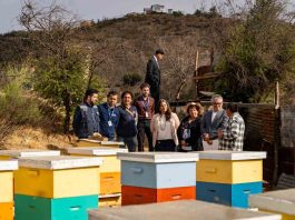 Fondo Nacional de Reconstrucción: Hacienda e INDAP entregan colmenas a pequeños agricultores de la Región de Valparaíso afectados por incendios Fondo Nacional de Reconstrucción: Hacienda e INDAP entregan colmenas a pequeños agricultores de la Región de Valparaíso afectados por incendios