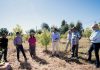 Fruticultores de Ninhue recibieron asesoría técnica para potenciar especies innovadoras