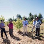 Fruticultores de Ninhue recibieron asesoría técnica para potenciar especies innovadoras