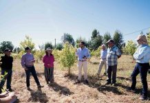 Fruticultores de Ninhue recibieron asesoría técnica para potenciar especies innovadoras