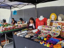 Hasta el domingo se extiende feria con productos artesanales de Arica y Parinacota