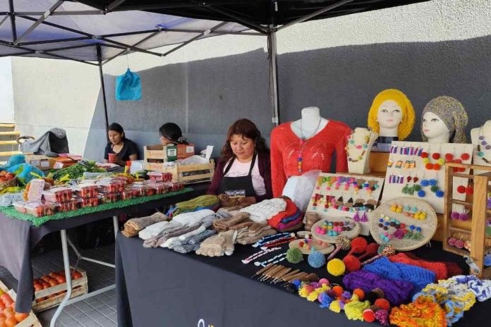 Hasta el domingo se extiende feria con productos artesanales de Arica y Parinacota