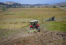 INDAP Y SU ROL COMO BANCA RURAL