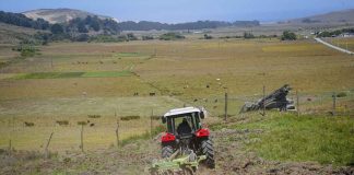 INDAP Y SU ROL COMO BANCA RURAL