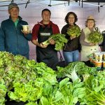 INDAP lleva los sabores rurales a la ciudad con tres nuevos Mercados Campesinos en Biobío