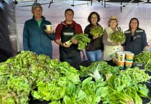 INDAP lleva los sabores rurales a la ciudad con tres nuevos Mercados Campesinos en Biobío