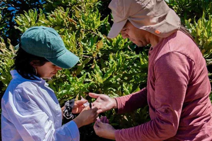 INIA dio inicio a innovador proyecto que impulsa la fruticultura sostenible y resiliente en Ñuble