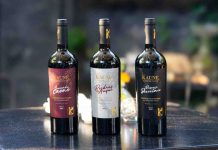 Kaune Wines: el regalo perfecto y el maridaje ideal para las fiestas de fin de año