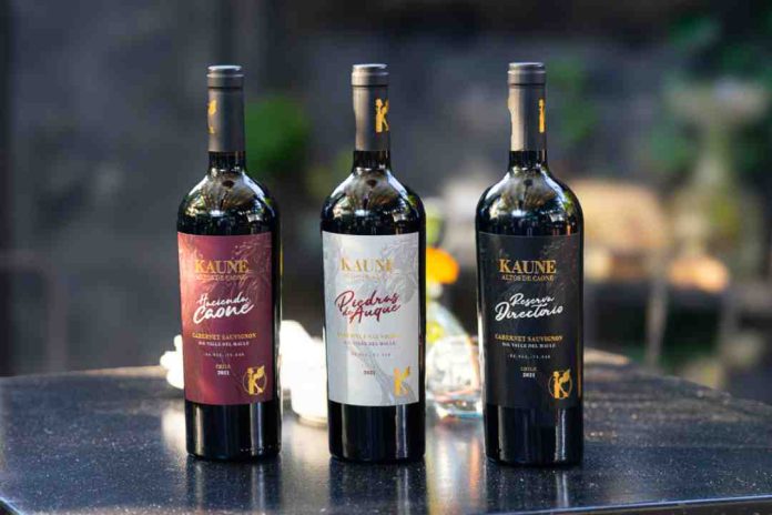 Kaune Wines: el regalo perfecto y el maridaje ideal para las fiestas de fin de año