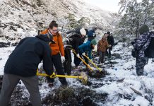 Las Torres Patagonia negocia financiamiento para construir dos puentes para el nuevo sendero a Base Torres