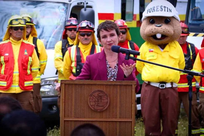 Ministerio de Agricultura y CONAF dan a conocer plan de cortafuegos en región de la Araucanía