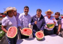 Ministro de Agricultura celebra el inicio de la temporada de la Sandía de Paine en Lo Valledor