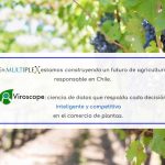 Multiplex y Viroscope, aseguramos material vegetal libre de virus y viroides