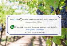 Multiplex y Viroscope, aseguramos material vegetal libre de virus y viroides