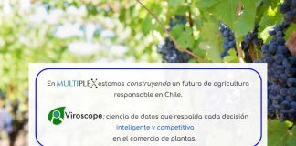 Multiplex y Viroscope, aseguramos material vegetal libre de virus y viroides