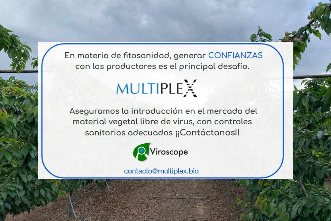 Multiplex y Viroscope, aseguramos material vegetal libre de virus y viroides