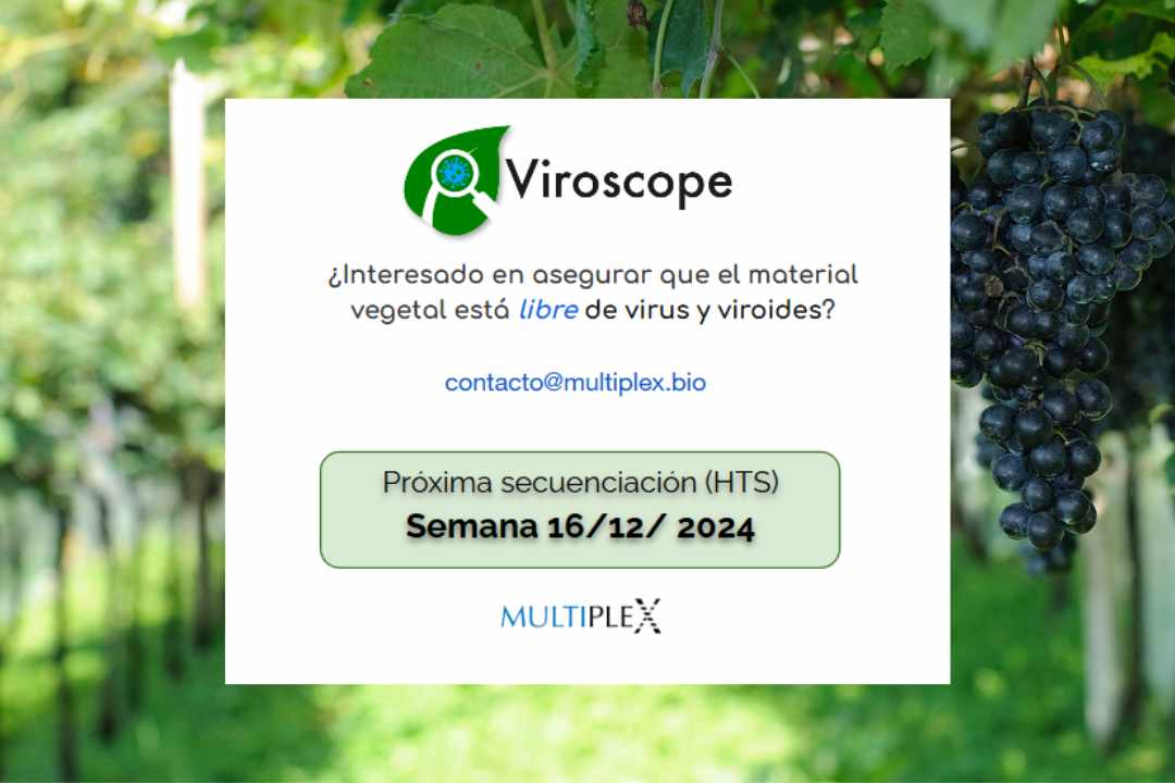 Multiplex y Viroscope, aseguramos material vegetal libre de virus y viroides