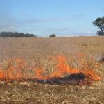 Ocho regiones del país están con restricciones para el uso del fuego