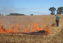 Ocho regiones del país están con restricciones para el uso del fuego