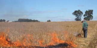 Ocho regiones del país están con restricciones para el uso del fuego