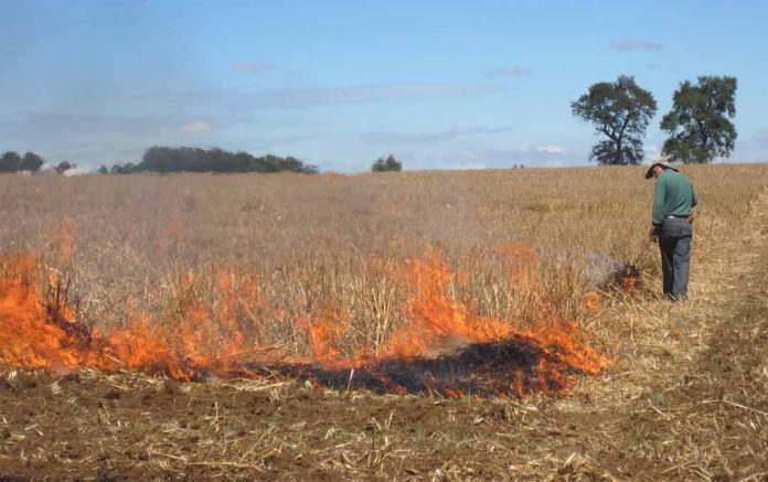 Ocho regiones del país están con restricciones para el uso del fuego