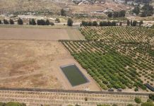 Pequeño tranque de acumulación bonificado por la Ley de Riego permitirá asegurar la producción de agricultoras de Huentelauquén