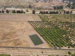 Pequeño tranque de acumulación bonificado por la Ley de Riego permitirá asegurar la producción de agricultoras de Huentelauquén