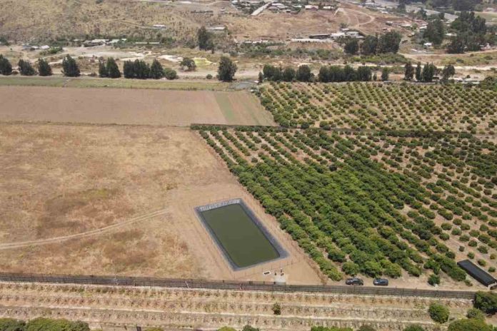 Pequeño tranque de acumulación bonificado por la Ley de Riego permitirá asegurar la producción de agricultoras de Huentelauquén