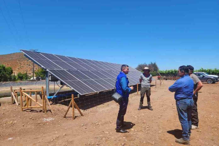 Pequeños agricultores de Punitaqui logran mayor eficiencia en sus cultivos a través de proyecto bonificado por la Ley de Riego