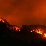 Recomendaciones sobre qué hacer y cómo prevenir los incendios forestales