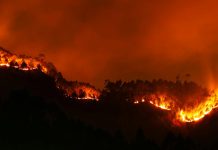 Recomendaciones sobre qué hacer y cómo prevenir los incendios forestales