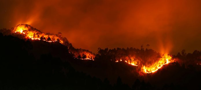 Recomendaciones sobre qué hacer y cómo prevenir los incendios forestales