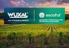 Wuxal y Ascofol, El regreso de dos soluciones premium y sus beneficios en el cultivo de la uva de mesa