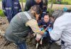 SAG Biobío realiza programa piloto de Casa Abierta en sus oficinas