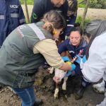 SAG Biobío realiza programa piloto de Casa Abierta en sus oficinas