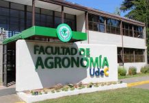 Agronomía UdeC dictará Diplomado en Ciencia Disruptiva y Comunicación Efectiva de la Ciencia