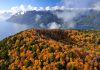 Chile presenta nueva línea base de emisiones de carbono forestal