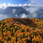 Chile presenta nueva línea base de emisiones de carbono forestal