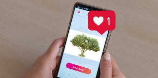 ¿Conoces el Tinder de las Plantas?