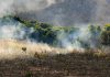 Experto UCSC entrega consejos para que agricultores enfrenten emergencias climáticas