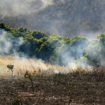 Experto UCSC entrega consejos para que agricultores enfrenten emergencias climáticas